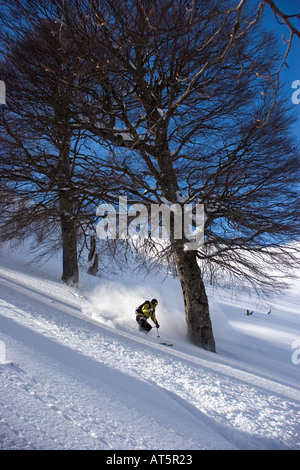 Ski hors piste dans la région de Campanelle Ghisonaccia Corse France Banque D'Images