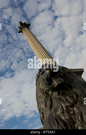 Trafalgar Square et Lion Nelson Colonne s Banque D'Images