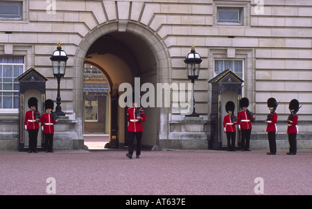 Numéro 7 de l'entreprise Coldstream Guards en devoir à Buckingham Palace London England UK Banque D'Images