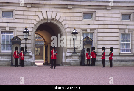 Numéro 7 de l'entreprise Coldstream Guards en devoir à Buckingham Palace London England UK Banque D'Images