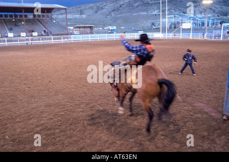 Un cowboy monte un bucking bronco pendant la Cody Night Rodeo dans Cody, WY. Banque D'Images