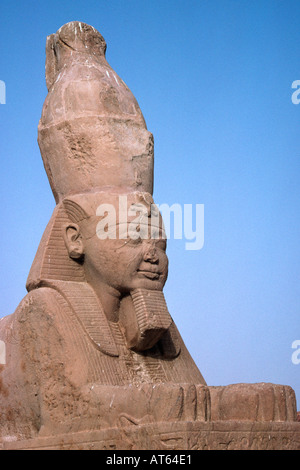 Un sphinx de Wadi al-sebua en Égypte. Haute Egypte / Nubie, Egypte. Banque D'Images