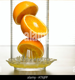 Presse-agrumes, oranges sur closeup Banque D'Images