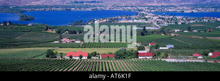 Vignes, vergers, et le lac Osoyoos, Osoyoos, au sud de l'Okanagan, en Colombie-Britannique, British Columbia Canada Banque D'Images