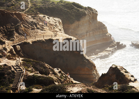 Torrey Pines State Reserve, San Diego County, Californie, USA Banque D'Images