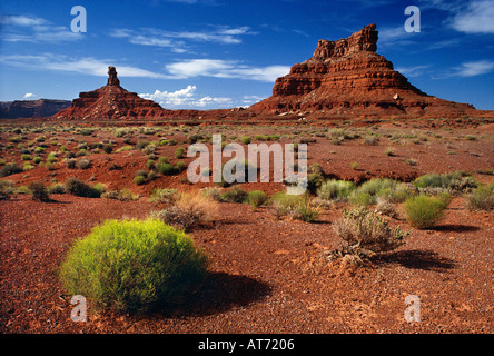 Vallée des Dieux près de Bluff San Juan Co Utah USA Banque D'Images