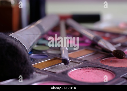 Make-Up Pinsel auf Farbpalette Banque D'Images