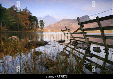 Blea Tarn dans le domaine de l'The Langdales Lake District, Cumbria, Angleterre Banque D'Images