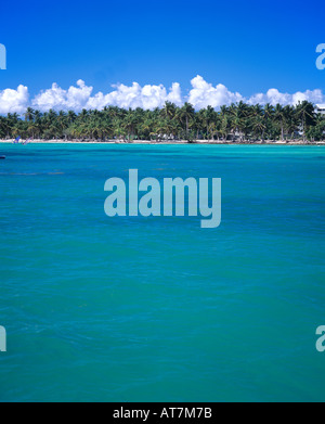 Mer des Caraïbes et Caravelle plage avec palmiers, Sainte-Anne, Guadeloupe, French West Indies Banque D'Images