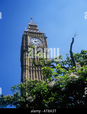 Super Brtain. Londres. Big Ben Cadran Banque D'Images