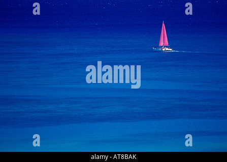 L'eau bleu brillant blanc entoure complètement un catamaran croisière au large de la côte de Waikiki avec ondulations fuschia rose Banque D'Images