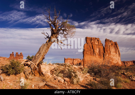 Tours et palais de tree Arches National Park Utah USA Septembre 2007 Banque D'Images