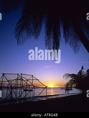 Des casiers à homard, plage, palmiers, coucher de soleil, mer des Caraïbes, l'île de Marie-Galante, Guadeloupe, French West Indies, Petites Antilles, iles sous le vent Banque D'Images