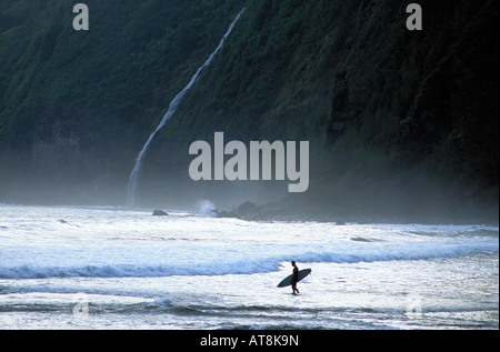 Surfer sur la plage de Waipio avec une belle cascade sur la luxuriante côte de la Grande Île d'Hawaï. Banque D'Images