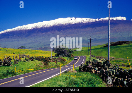 Mauna Kea enneigé avec Waimea route de montagne dans l'avant-plan, Big Island Banque D'Images