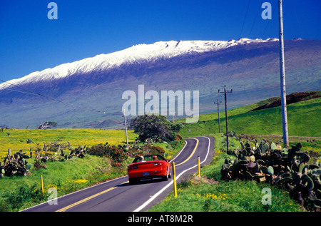 Mauna Kea enneigé avec Waimea route de montagne dans l'avant-plan, Big Island Banque D'Images