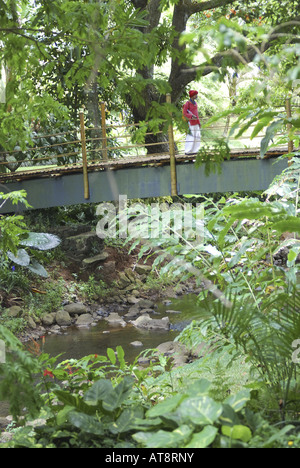 Homme portant un foulard rouge et promenades sur le bambou pont sur un ruisseau entouré par de luxuriants jardins personnalités liées à la commune à feuillage vert Banque D'Images