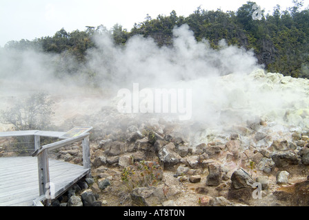 La vapeur qui s'élève à partir d'un évent volcanique à la teneur en soufre dans les banques Volcanoes National Park sur la grande île d'Hawaï. Banque D'Images