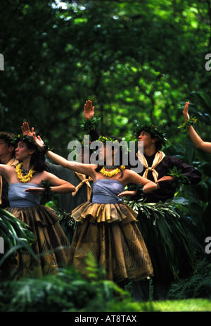 Lot Prince festival hula performance à Moanalua gardens, Oahu Banque D'Images