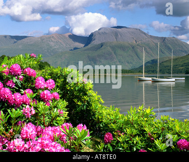 GB - Ecosse : le Loch Linnhe et le Ben Nevis Banque D'Images