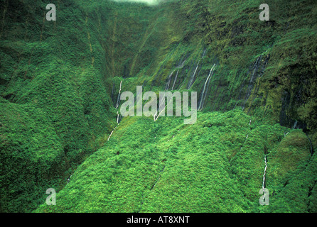 Vue aérienne de la forêt tropicale au milieu des montagnes de l'Ouest de Maui avec des rangées de cascades Banque D'Images