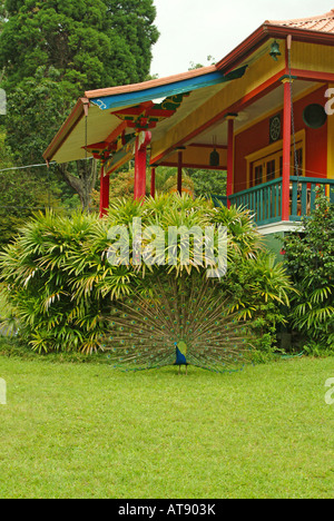 Maison de repos Wood valley temple et centre de retraite, de méditation à Pahala sur l'UAE côté de la grande île d'Hawaï Banque D'Images