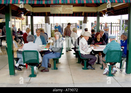 Activités Senior au Maximo Gomez Park quartier Little Havana Miami Floride Calle Ocho Banque D'Images