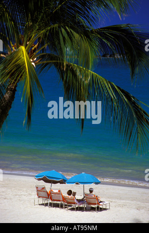 Personnes en chaises de plage sur le sable blanc en face de Mauna Kea Beach Hotel avec un palmier dans l'avant-plan Banque D'Images