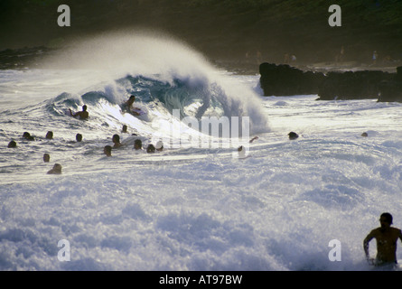 Journée ensoleillée, grand groupe de body surfers & pensionnaires sur grande déferlante. Plage de sable, côte est d'Oahu, Hawaii littoral Kaiwi Banque D'Images