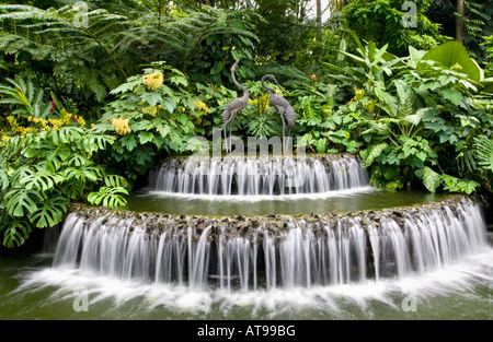 Une fontaine et cascade crane des sculptures dans les jardins botaniques de Singapour. Singapour Banque D'Images