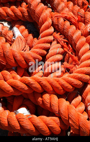 L'article de orange épais corde posée en bande avec des boucles de masse autour des extrémités de la corde. Close up. Banque D'Images