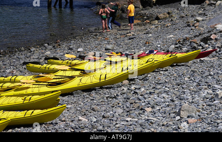 Kayaks de mer alignés sur une plage de la Baie Frenchman s Bar Harbor Maine Banque D'Images