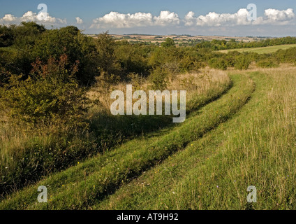 La craie des prairies et de la frotter sur le bas Martin NNR Hampshire Banque D'Images