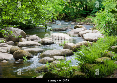 L'Est de la rivière Dart à Dartmoor à Dartmeet, Devon Banque D'Images