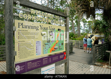 Naples Florida Swamp Sanctuary tire-bouchon Banque D'Images