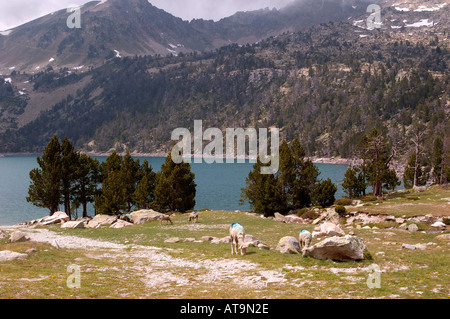 Lac d'Aubert dans les Pyrénées françaises Banque D'Images