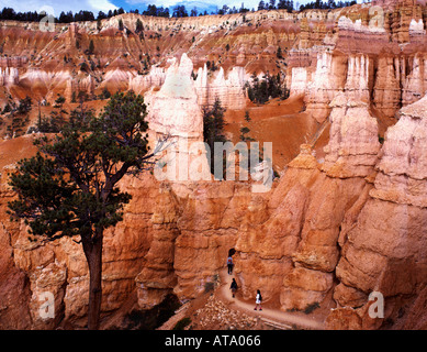 Sud-Ouest USA Utah Bryce Canyon Nationalpark hoodos qeens rock piliers dans jardin Banque D'Images