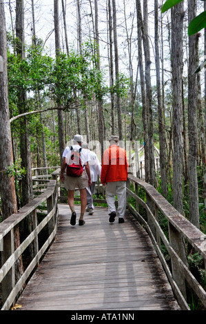 Naples Florida Swamp Sanctuary tire-bouchon Banque D'Images