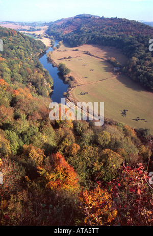 Symonds Yat herefordshire viewpoint couleurs d'automne rivière Wye england uk go Banque D'Images