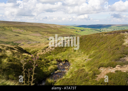 The North Pennines - Swinespe Moor, Allendale Common, à l'ouest d'Allenheads, Northumberland, Royaume-Uni Banque D'Images