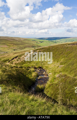 The North Pennines - Swinespe Moor, Allendale Common, à l'ouest d'Allenheads, Northumberland, Royaume-Uni Banque D'Images