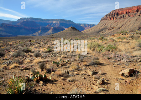 BACKPACKER SUR CLEAR CREEK TRAIL TRAVERSANT LE DÉSERT PRÈS DE ZOROASTRE CANYON PROFOND DE LAVAGE DANS GRAND CANYON GRAND CANYON NATIONAL Banque D'Images