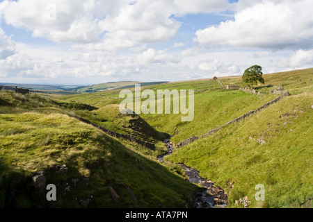 The North Pennines - Swinespe Moor, Allendale Common, à l'ouest d'Allenheads, Northumberland, Royaume-Uni Banque D'Images