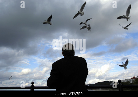 Un homme sur un quai nourrir les mouettes, Miedzyzdroje, Pologne Banque D'Images