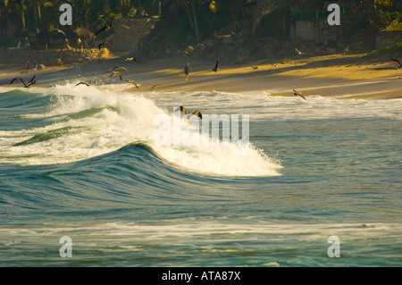Riviera Nayarit Mexique Village de Sayulita près de Puerto Vallarta sur l'océan Pacifique paysage pittoresque plage vagues Banque D'Images