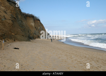 Les falaises et les dunes à Wellfleet, Massachusetts. Banque D'Images