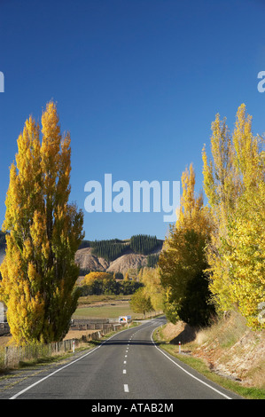 Automne Couleur Waimarama Tukituki Valley Road Hawkes Bay Ile du Nord Nouvelle Zélande Banque D'Images