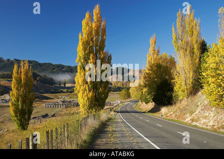 Automne Couleur Waimarama Tukituki Valley Road Hawkes Bay Ile du Nord Nouvelle Zélande Banque D'Images