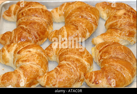 Des petits croissants chauds sur la plaque de cuisson à une boulangerie de Brooklyn Banque D'Images