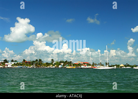 Caye Caulker Belize Banque D'Images